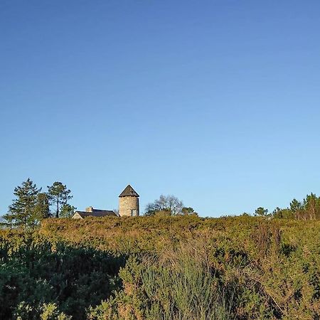Longere Tinyhouse Avec Son Jardin-Foret Saint-Just  Eksteriør billede