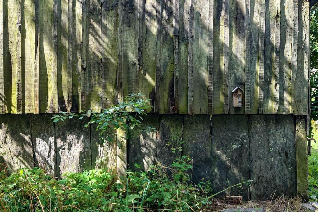 Longere Tinyhouse Avec Son Jardin-Foret Saint-Just  Eksteriør billede